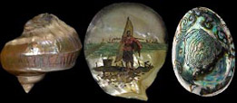 Nacres et Coquillages : Turbo poli, gravé -
Huitre perlière peinte - Coquille d'ormeau (abalone)